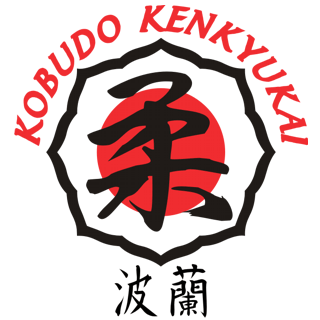Zapraszamy na stronę poświęconą International Ju-Jutsu Federation